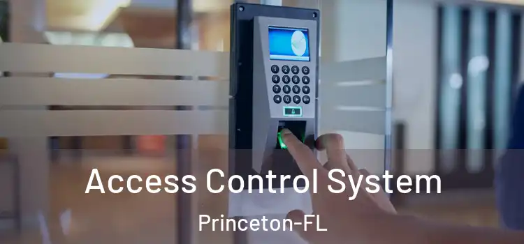 Access Control System Princeton-FL