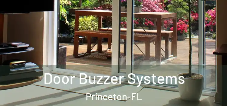 Door Buzzer Systems Princeton-FL