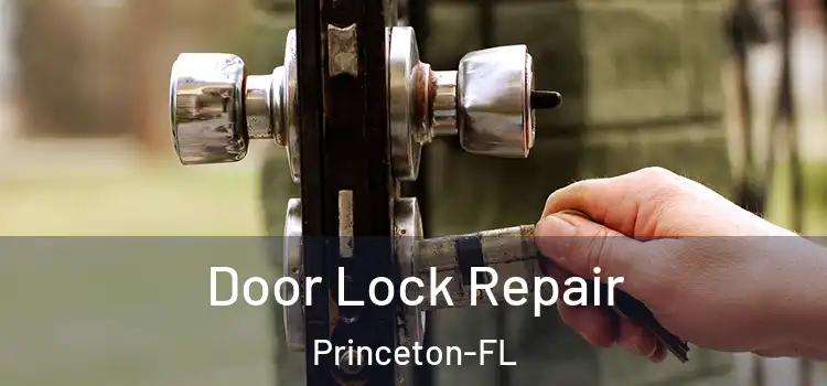 Door Lock Repair Princeton-FL