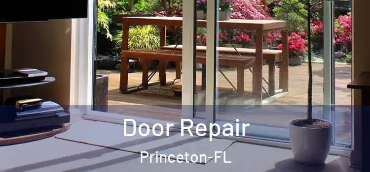 Door Repair Princeton-FL