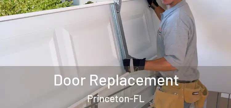 Door Replacement Princeton-FL