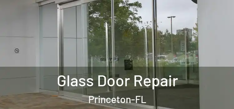  Glass Door Repair Princeton-FL