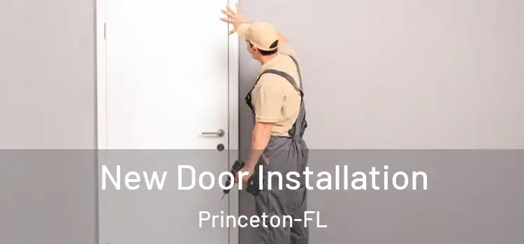 New Door Installation Princeton-FL