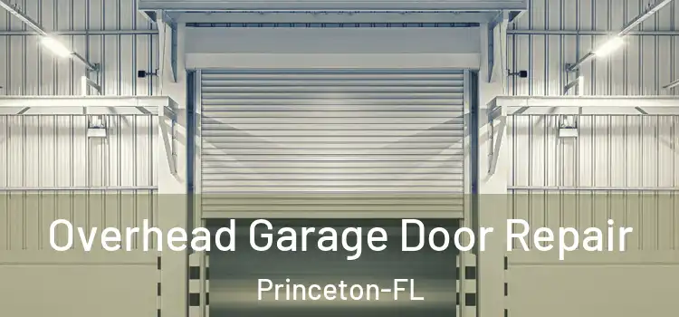 Overhead Garage Door Repair Princeton-FL