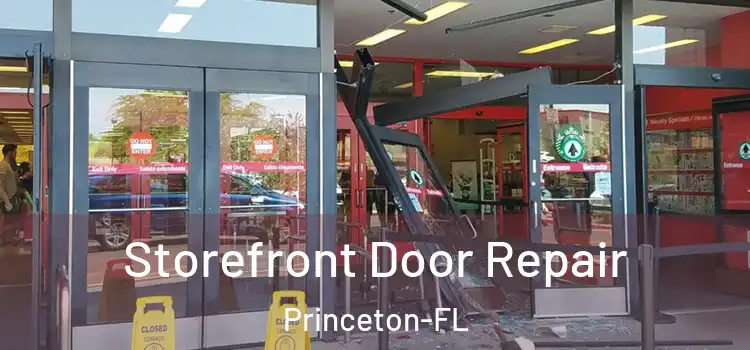 Storefront Door Repair Princeton-FL